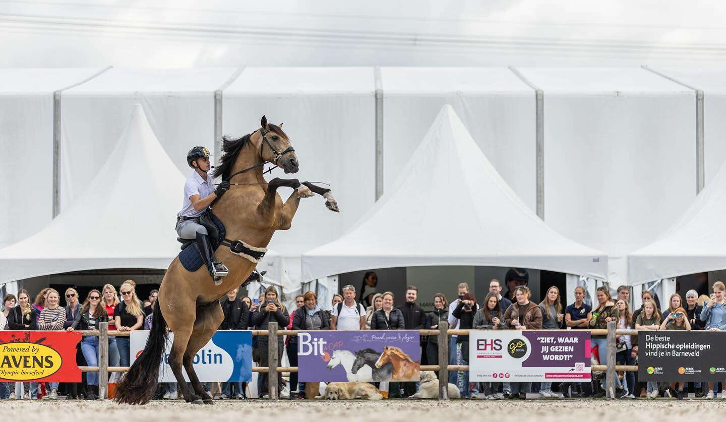 𝗙𝗶𝗷𝗻𝗲 𝗗𝗶𝗲𝗿𝗲𝗻𝗱𝗮𝗴! 🐴 Een mooi moment om terug te blikken...